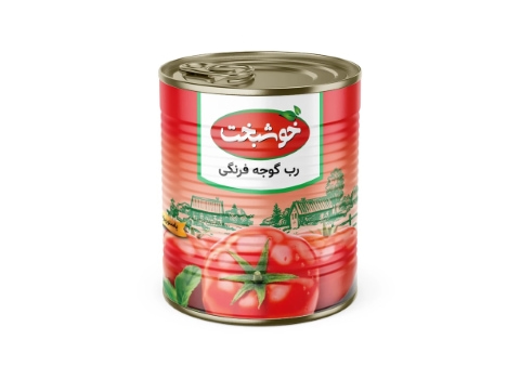 قیمت رب گوجه فرنگی 800 گرمی خوشبخت + خرید باور نکردنی
